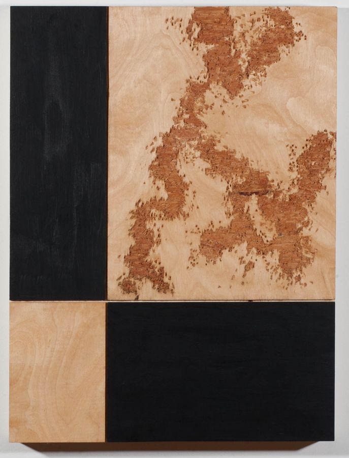Untitled, acrylic and oil on wood by Ryan Erickson