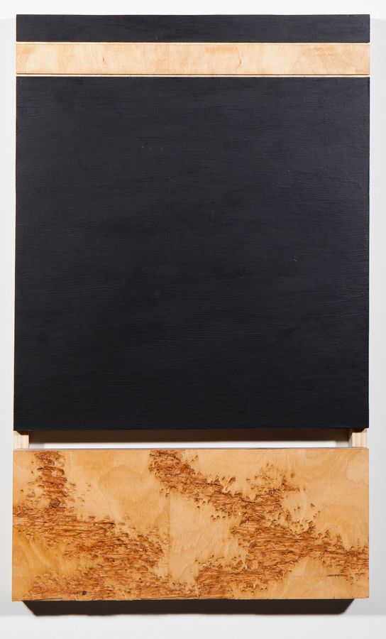 Untitled, acrylic and oil on wood by Ryan Erickson