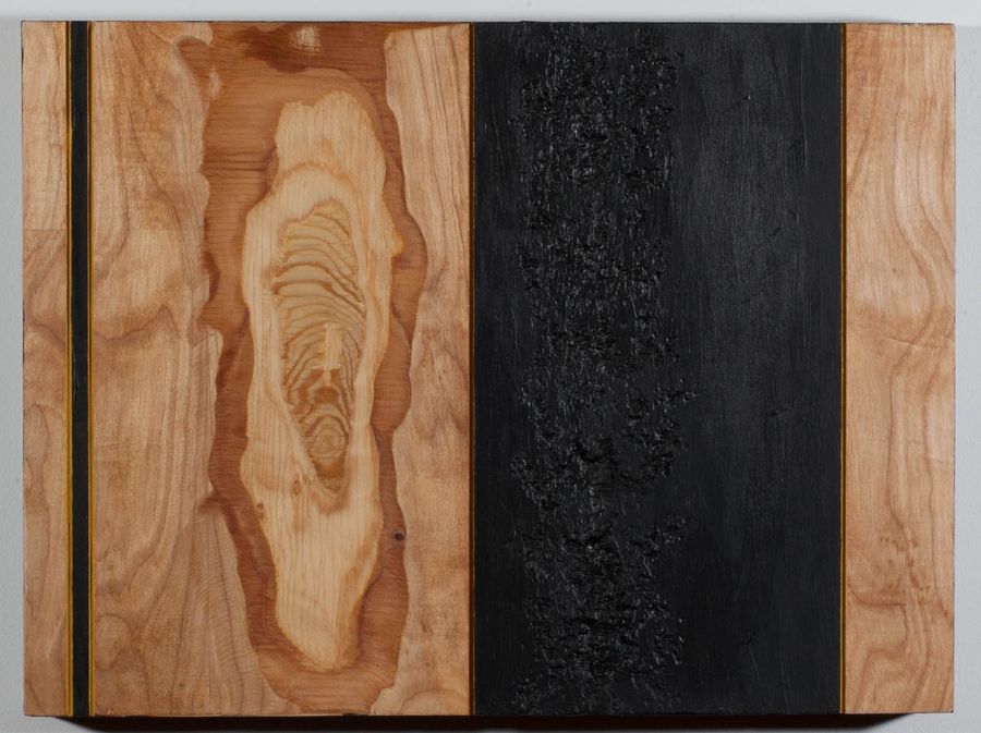 Sides, acrylic and oil on wood by Ryan Erickson