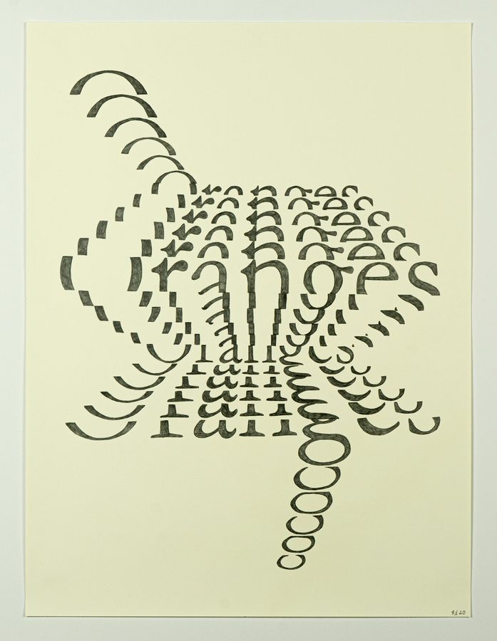 Oranges, pencil on paper by Ryan Erickson
