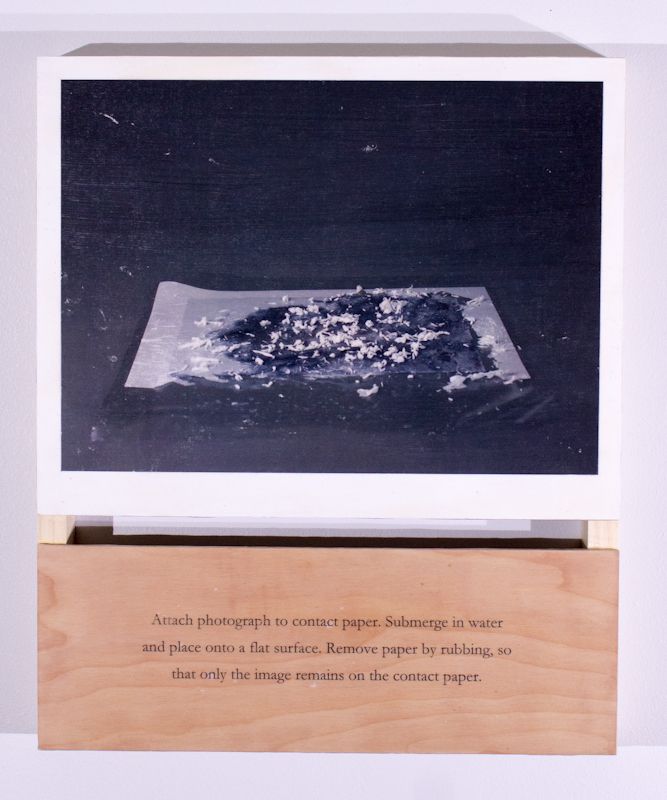 Panel 3, image transfer on wood by Ryan Erickson